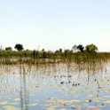 BWA NW OkavangoDelta 2016DEC02 Mokoro 020 : 2016, 2016 - African Adventures, Africa, Botswana, Date, December, Mokoro Base Camp, Month, Northwest, Okavango Delta, Places, Southern, Trips, Year